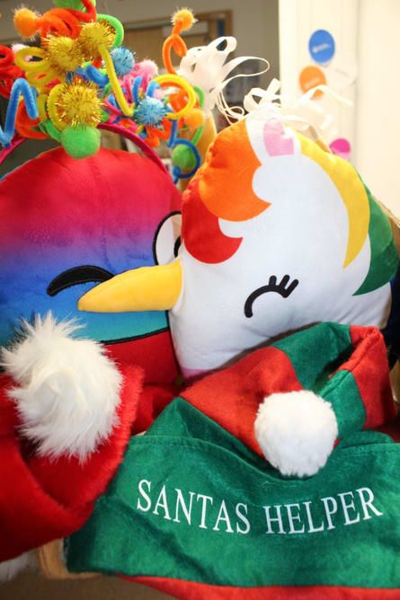 Santa's Helper Christmas Toy, Southampton Hospitals Charity